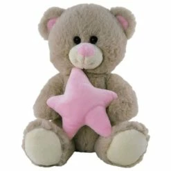 Other Bear With Pink Star 24cm