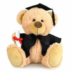 My Buddy Bear Graduation Buddy 23cm