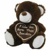 Other Bear Chocolate 23cm
